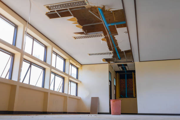 Best Sewage cleanup and water damage restoration  in Farragut, TN