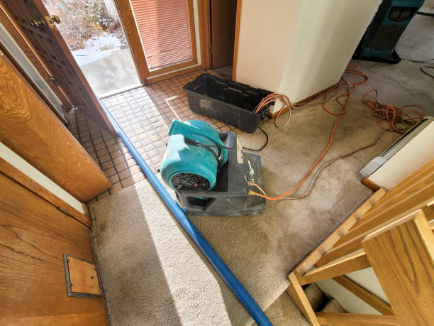 Best Fire Damage Restoration  in Farragut, TN