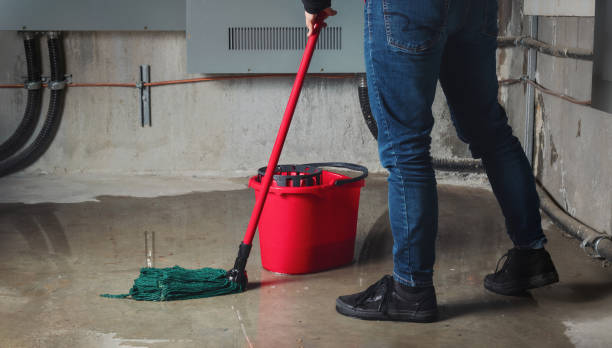 Best Basement water damage restoration  in Farragut, TN