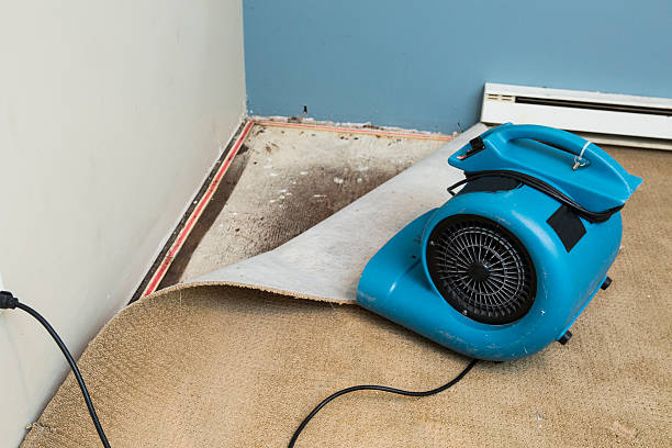 Best Water damage restoration near me  in Farragut, TN